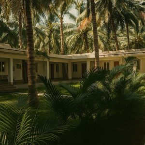 20250813_1447_Cinematic-Tropical-Retreat_remix